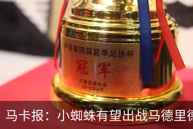 马卡报：小蜘蛛有望出战马德里德比，但踢满全场已经被明确排除